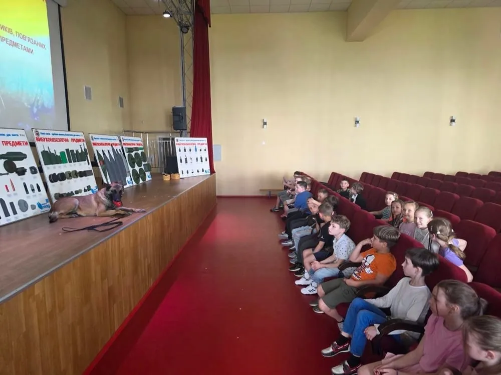 Службовий пес відпочиває на сцені поруч зі стендами вибухонебезпечних предметів під час заняття для школярів